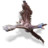 Archaeopteryx Icon